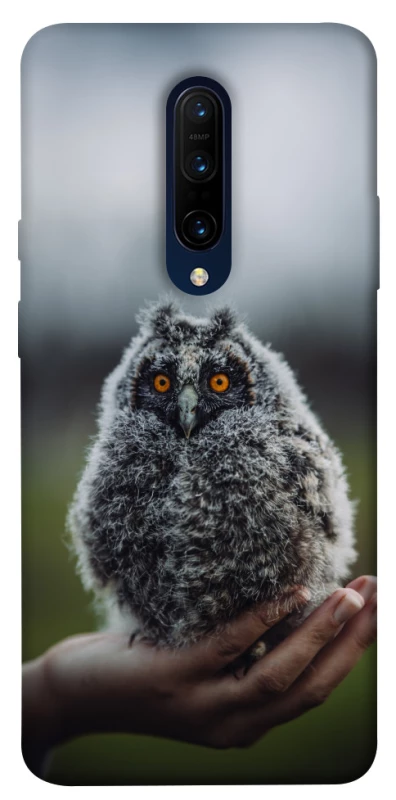Чохол на OnePlus 7 Pro Совеня фото 1 з 1
