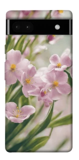 Чохол на Google Pixel 6a Spring фото 1 з 1