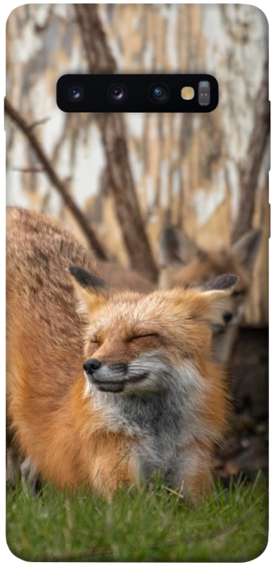 Чохол на Samsung Galaxy S10+ Лисиця фото 1 з 1