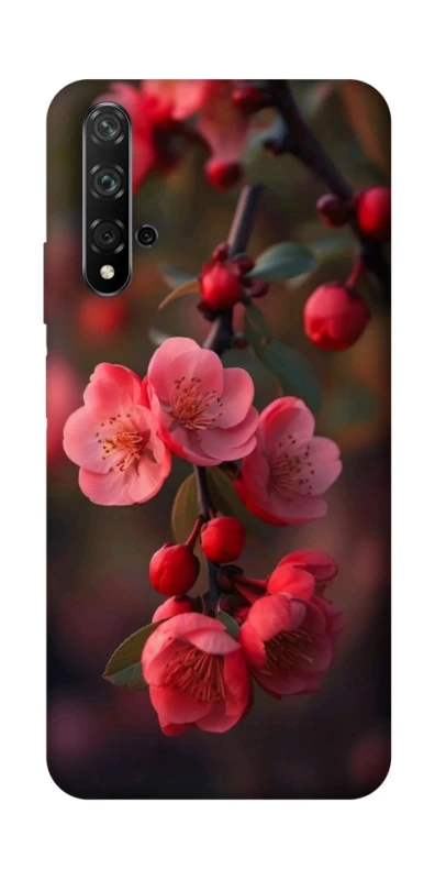 Чохол на Huawei Honor 20 / Nova 5T Flowers v28 фото 1 з 1