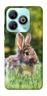 Чехол на ZTE Blade A75 4G Кролики фото 1 из 1