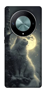 Чехол на Huawei Magic6 Lite Кот под луной фото 1 из 1