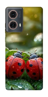 Чохол на Motorola Moto G85 Flowers v23 фото 1 з 1