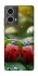 Чохол на Motorola Moto G85 Flowers v23 фото 1 з 1