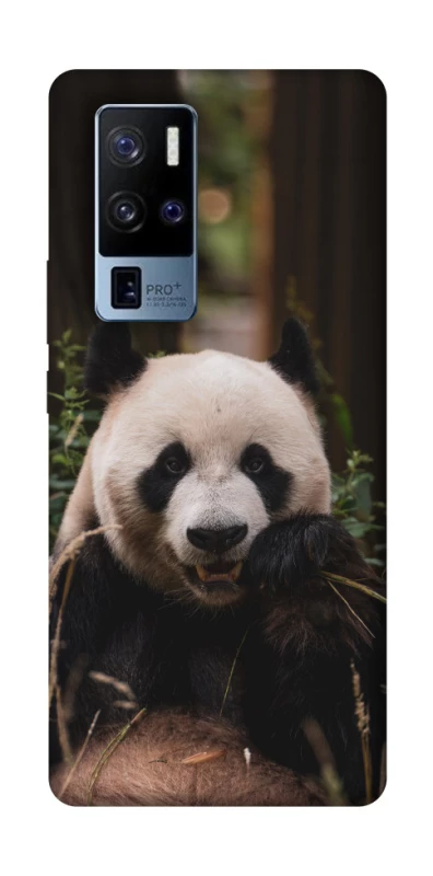 Чехол на Vivo X50 Pro+ Панда фото 1 из 1