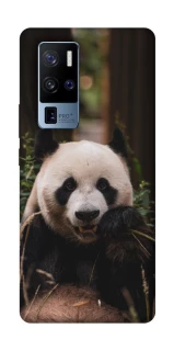 Чехол на Vivo X50 Pro+ Панда фото 1 из 1