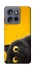 Чохол на Motorola Edge 50 Neo This is Cat фото 1 з 1
