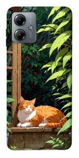 Чехол на Motorola Moto G14 red cat фото 1 из 1