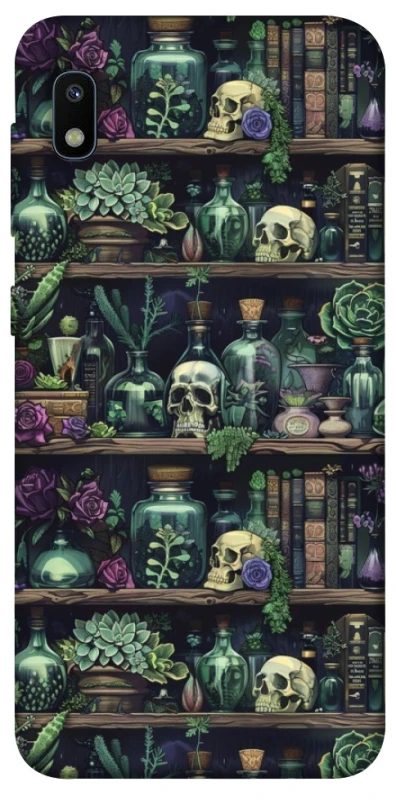 Чехол на Samsung Galaxy A10 (A105F) Bookshelf ver.1 фото 1 из 1