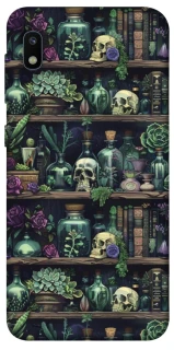 Чохол на Samsung Galaxy A10 (A105F) Bookshelf ver.1 фото 1 з 1