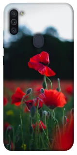 Чехол на Samsung Galaxy M11 Мак фото 1 из 1