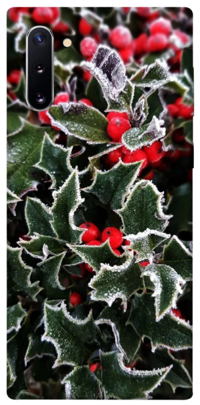 Чехол на Samsung Galaxy Note 10 Новогодний v32 фото 1 из 1