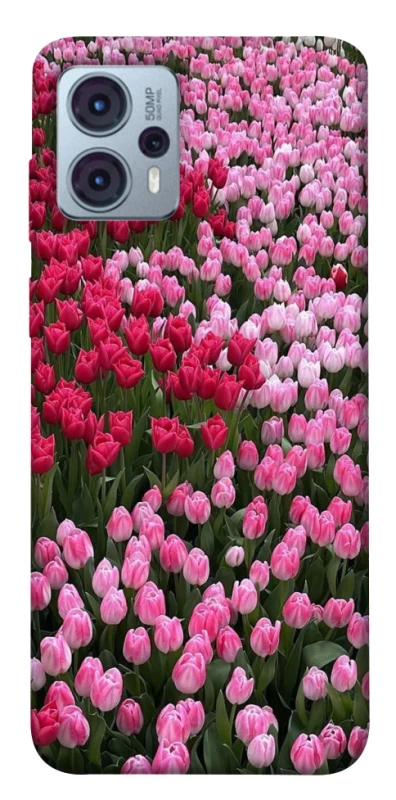 Чохол на Motorola Moto G23 Flowers v9 фото 1 з 1