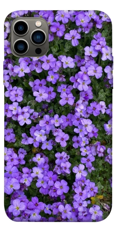 Чохол на Apple iPhone 12 Pro (6.1") Flowers v17 фото 1 з 1