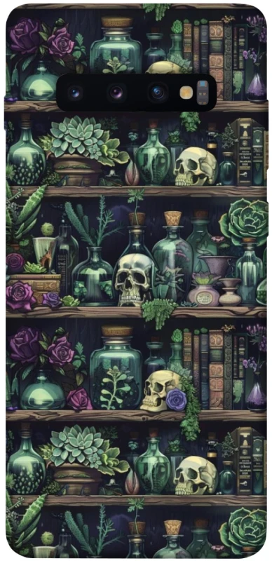 Чохол на Samsung Galaxy S10+ Bookshelf ver.1 фото 1 з 1