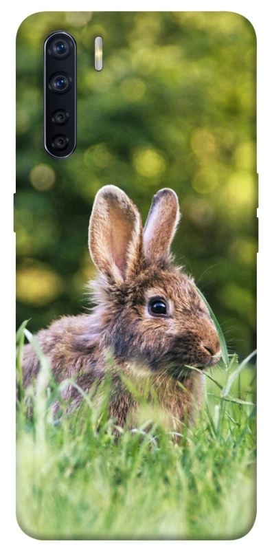 Чохол на Oppo A91 Кролики фото 1 з 1