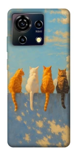Чехол на ZTE Blade V50 Vita cats on wall фото 1 Чехол на ZTE Blade V50 Vita cats on wall фото 1 из 1