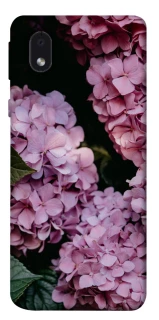 Чехол на Samsung Galaxy M01 Core / A01 Core Розовые гартензии фото 1 из 1