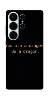Чехол на Samsung Galaxy S26 Pro House of the Dragon ver.9 фото 1 из 1