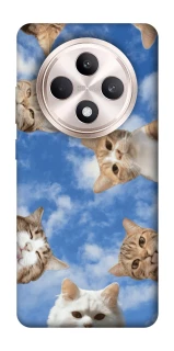 Чохол на Oppo Reno 12 F 4G/5G Сats фото 1 з 1