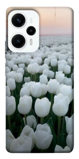 Чохол на Xiaomi Poco F5 / Note 12 Turbo Flowers v1 фото 1 з 1