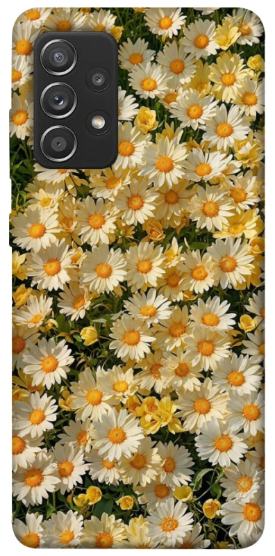 Чохол на Samsung Galaxy A52 4G / A52 5G Camomile фото 1 з 1