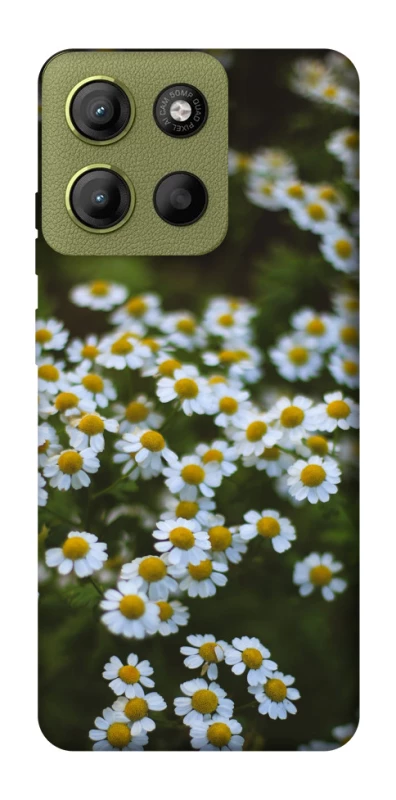 Чехол на Motorola Moto G15 4G Ромашки v13 фото 1 из 1