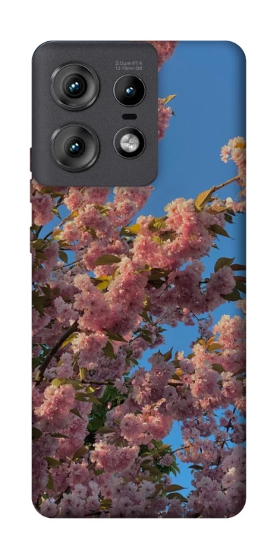 Чохол на Motorola Edge 50 Pro Flowers v4 фото 1 з 1