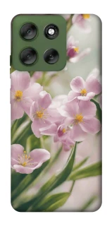 Чехол на Motorola Moto G56 5G Spring фото 1 из 1
