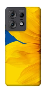 Чохол на Motorola Edge 50 Pro Sunflower фото 1 з 1
