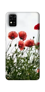 Чохол на ZTE Blade A31 Поле маків фото 1 з 1
