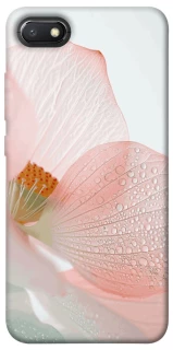 Чохол на Xiaomi Redmi 6A Flowers zon фото 1 Чохол на Xiaomi Redmi 6A Flowers zon фото 1 з 1