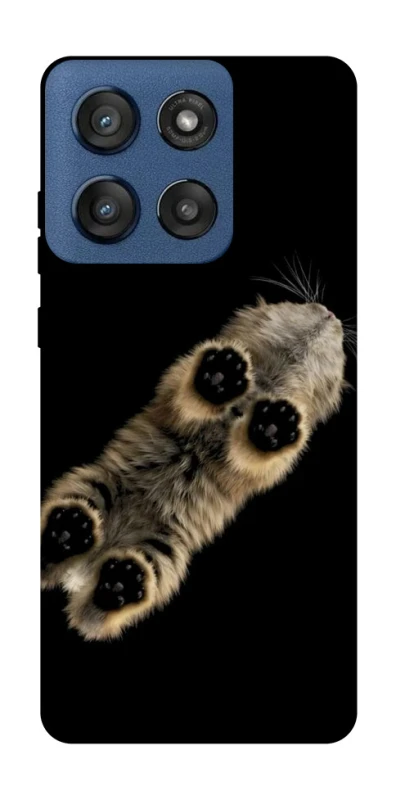 Чохол на Motorola Edge 60 Stylus Cat фото 1 з 1