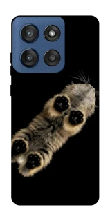 Чехол на Motorola Edge 60 Stylus Cat фото 1 из 1