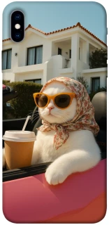 Чохол на Apple iPhone XS Max (6.5") Stylish Cat Cruise фото 1 з 1