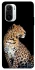 Чохол на Xiaomi Redmi K40 / K40 Pro / K40 Pro+ / Poco F3 Leopard v2 фото 1 з 1