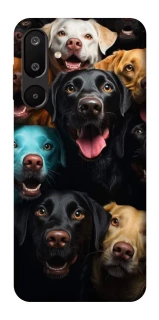Чехол на Samsung Galaxy M16 5G Собаки фото 1 из 1