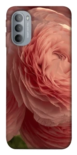 Чохол на Motorola Moto G31 Elegance фото 1 з 1