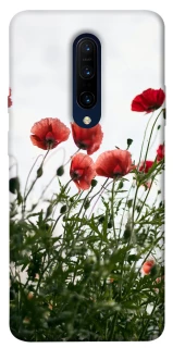 Чохол на OnePlus 7 Pro Поле маків фото 1 з 1