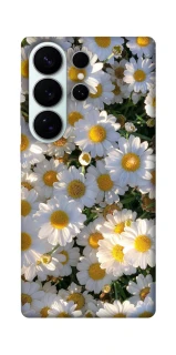 Чехол на Samsung Galaxy S26 Pro Поле ромашек фото 1 из 1