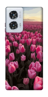 Чехол на Motorola Edge 50 Fusion Spring Awakening фото 1 из 1