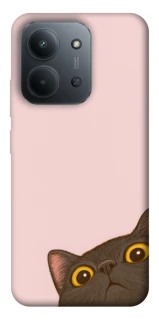 Чохол на Xiaomi Redmi 15C (Global) Peeping cat фото 1 з 1