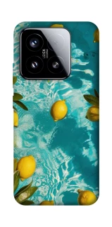 Чохол на Xiaomi 15 Lemon фото 1 з 1