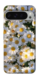 Чохол на Google Pixel 9 Pro XL Поле ромашок фото 1 з 1
