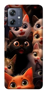 Чохол на Motorola Moto G54 happy cats фото 1 Чохол на Motorola Moto G54 happy cats фото 1 з 1