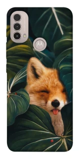 Чохол на Motorola Moto E40 Fox фото 1 з 1