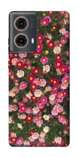 Чохол на Motorola Moto G85 Flowers v8 фото 1 з 1