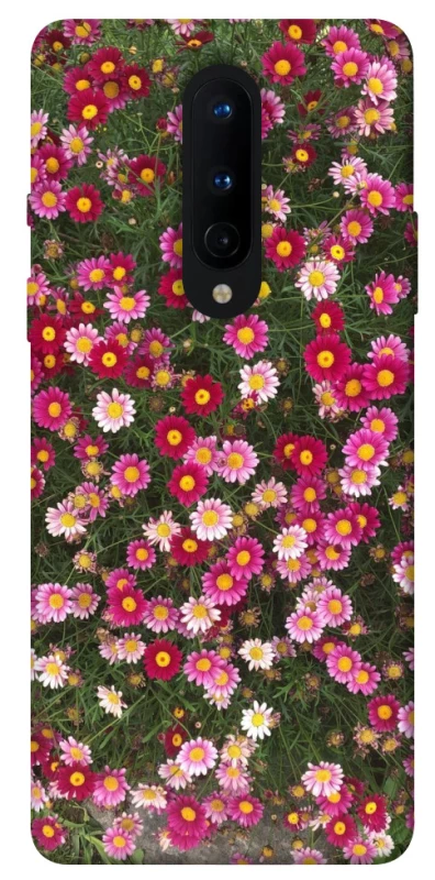 Чехол на OnePlus 8 Flowers v8 фото 1 из 1