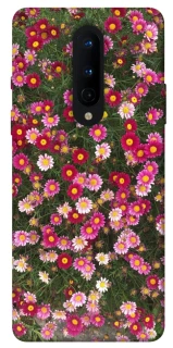 Чохол на OnePlus 8 Flowers v8 фото 1 з 1