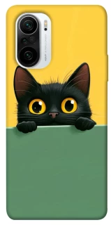 Чохол на Xiaomi Redmi K40 / K40 Pro / K40 Pro+ / Poco F3 Black cat v2 фото 1 з 1